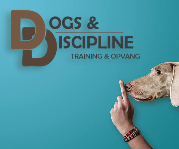 Dogs & Discipline